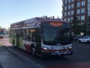 6026.JPG