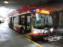6030.JPG