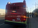 6036-1.JPG
