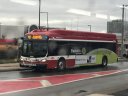 6042-1.JPG