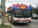6042.JPG