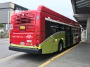 6111-1.JPG