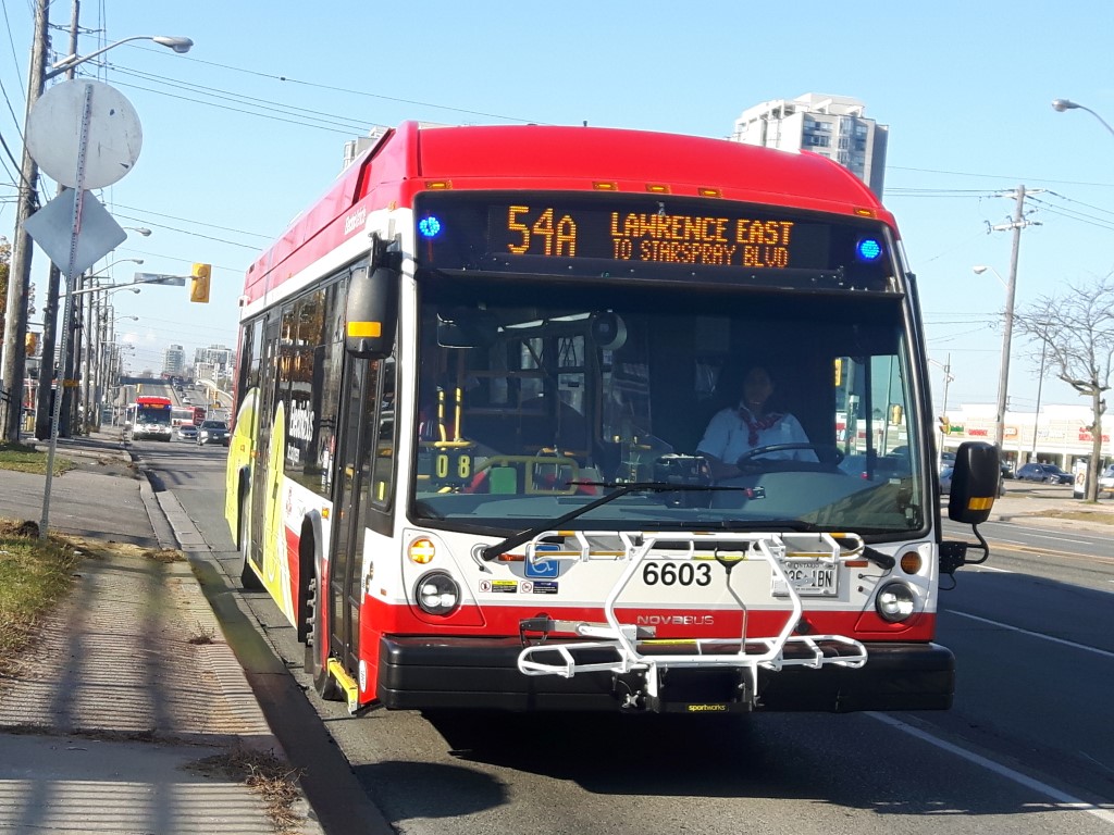 6603-1.jpg