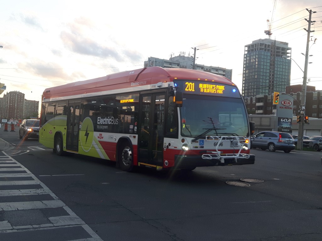 6696.jpg