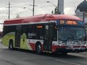 6606.JPG