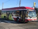 6634.JPG