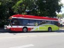 6682.jpg