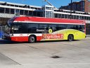 6694-1.jpg