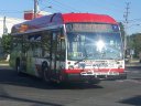 6707.jpg
