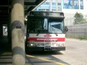 7026.JPG