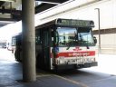 7040.jpg