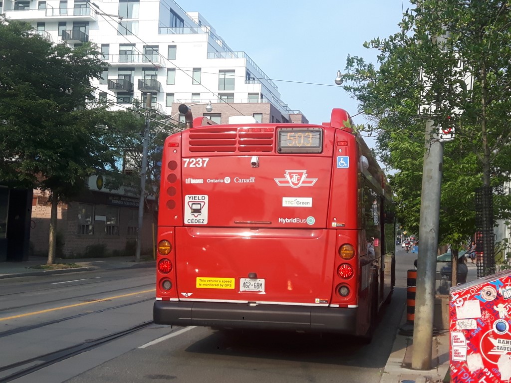 7233-2.jpg