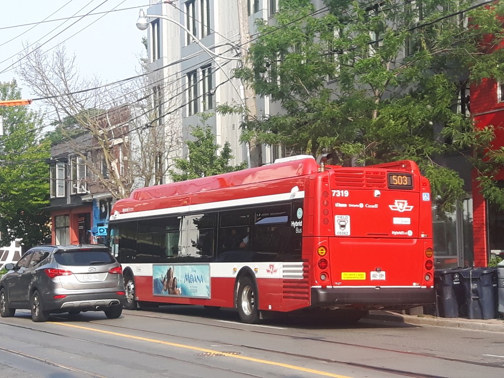 7319.jpg