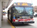 7303.JPG