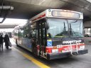 7304.JPG