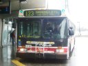 7306.jpg