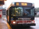 7316.JPG