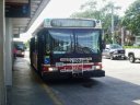 7323.jpg