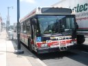 7325.JPG