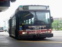7326.JPG