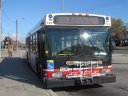 7331.JPG