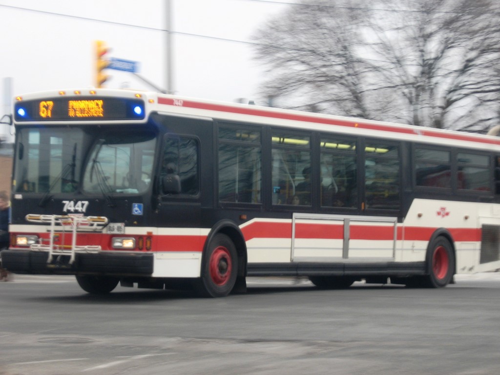 7447.JPG