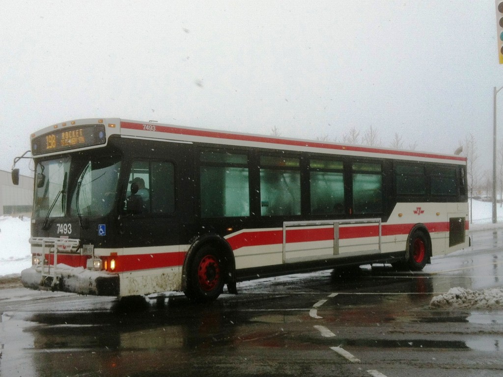 7493.JPG
