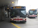 7434.jpg