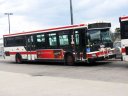 7465.jpg
