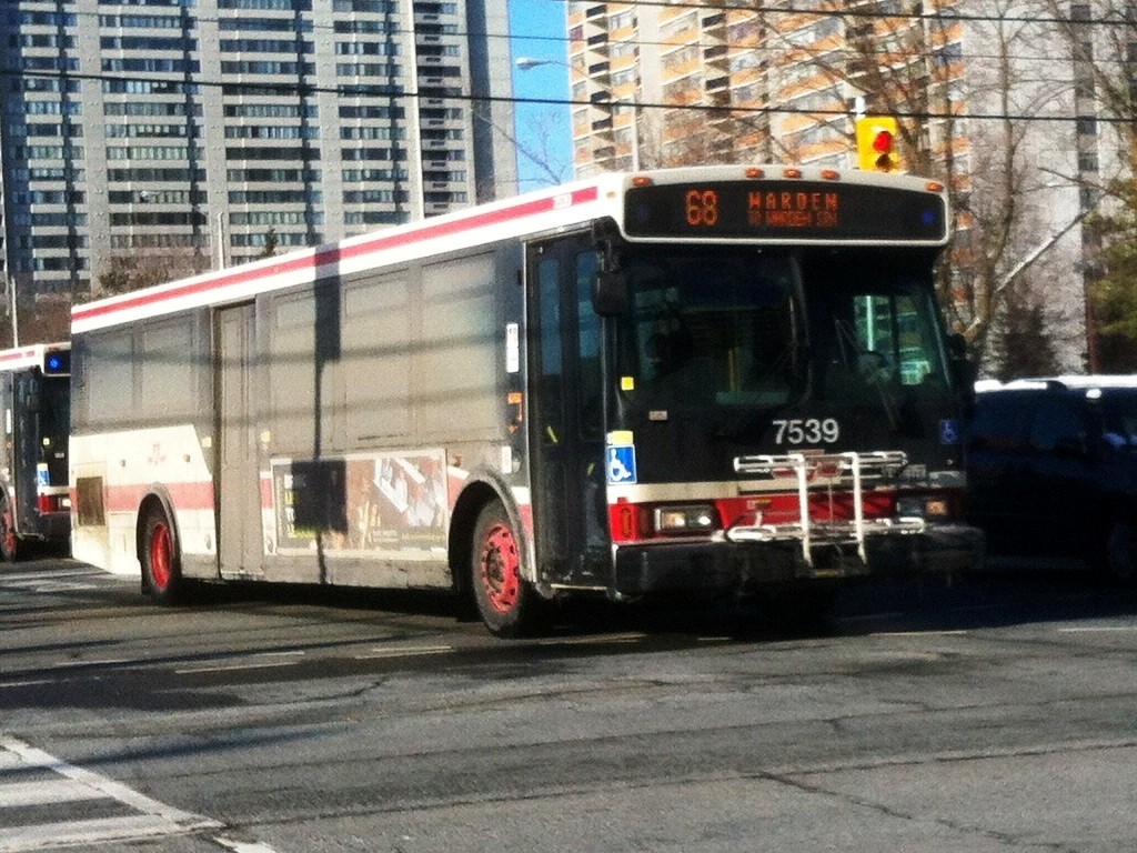 7539.JPG