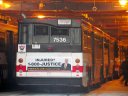 7536-1.JPG