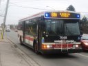 7548.JPG