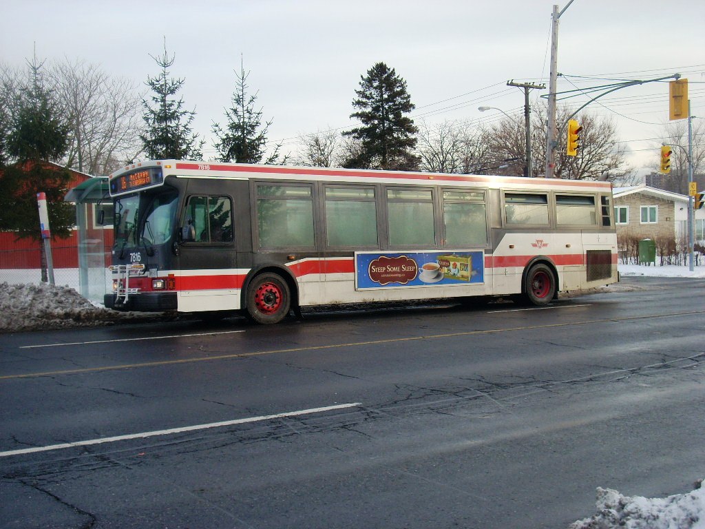 7816.JPG