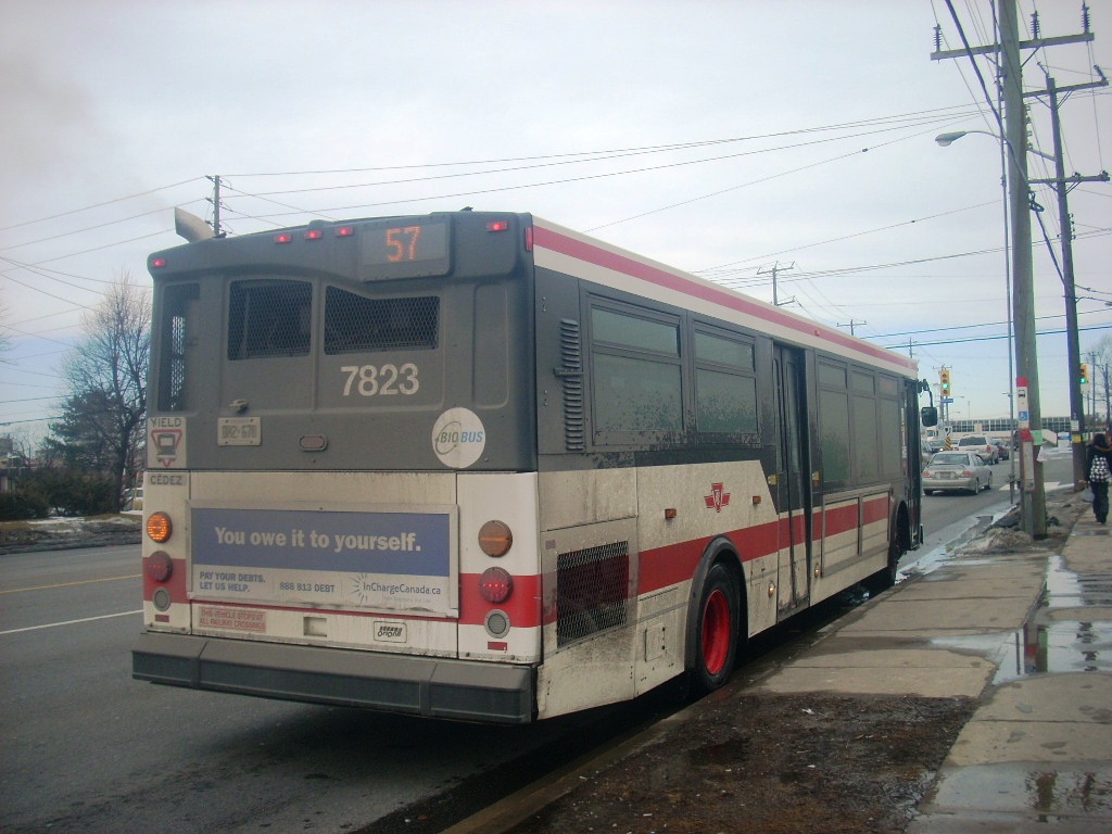7823.JPG