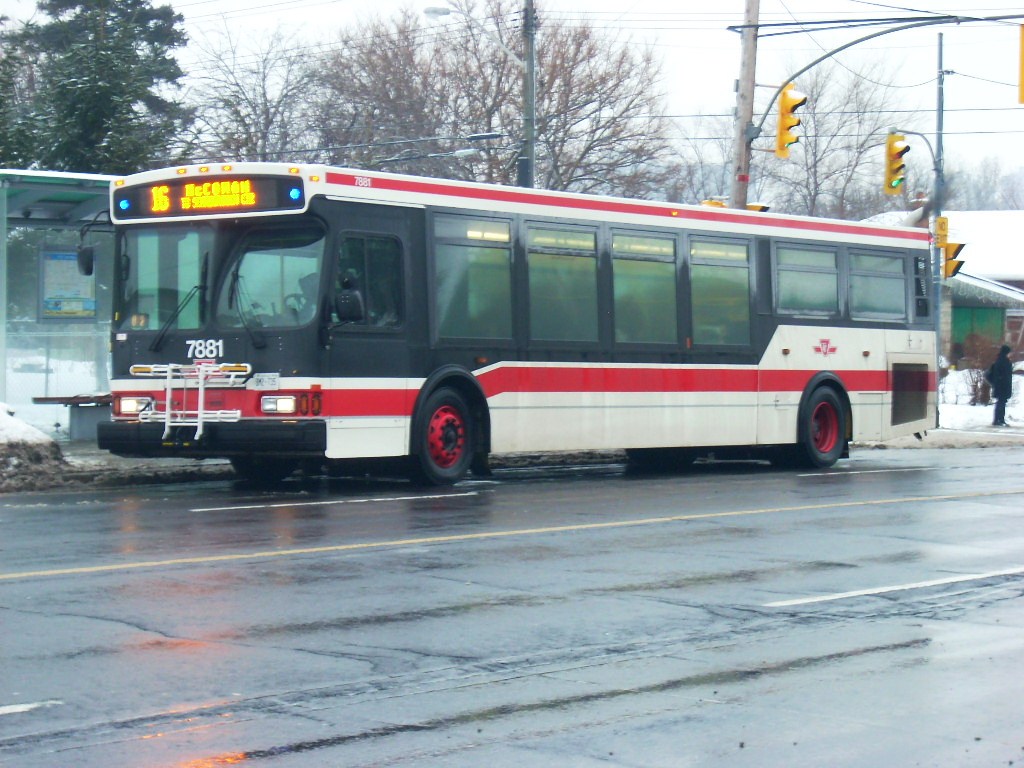 7881.JPG