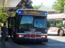 7702.JPG