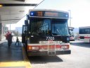 7705.JPG