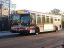 7713.JPG