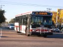 7755.JPG