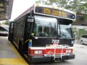 7812.JPG