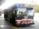 7845.JPG