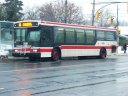 7881.JPG