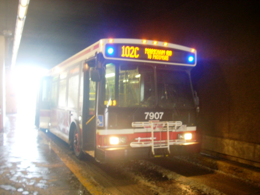 7907.JPG