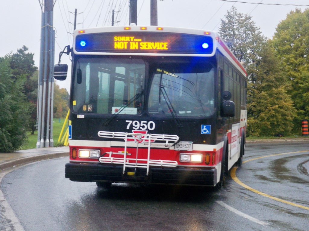 7950-2.JPG