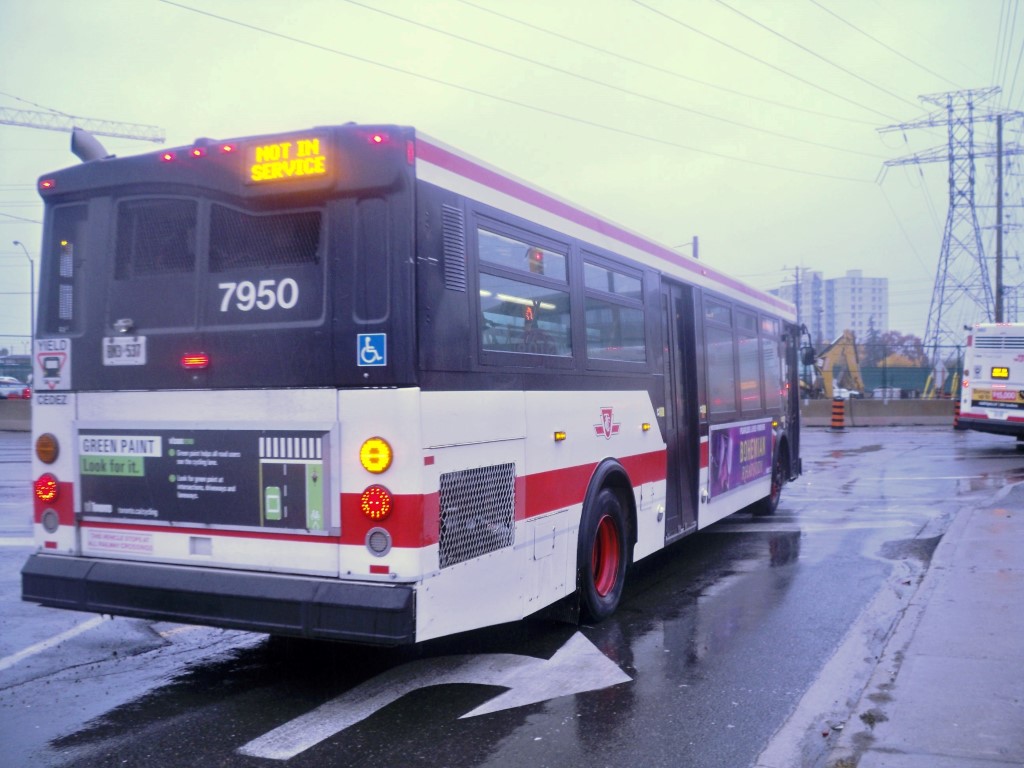 7950-3.JPG
