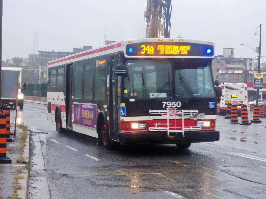 7950.JPG