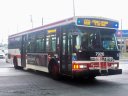 7926.JPG