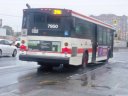 7950-1.JPG
