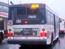 7950-4.JPG