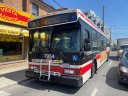 7954-1.JPG
